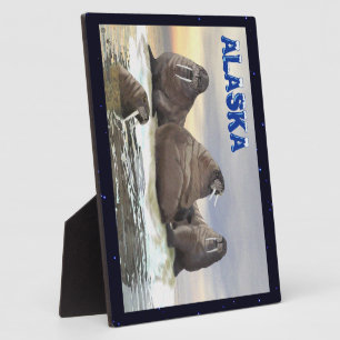 Plaque Photo Walrus - Quatre frères