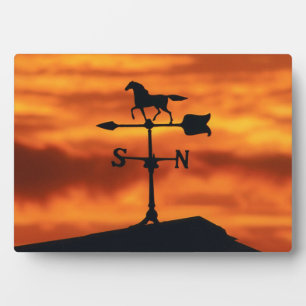 Plaque Photo Weather Vane at Sunset