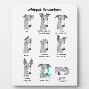 Plaque Photo Whippet Semaphore