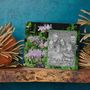 Plaque Photo Wild Purple Bee Balm Ajouter Votre Propre Photo