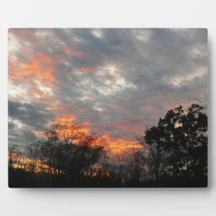 Plaque Photo Winter Sunset Nature Paysage Photographie