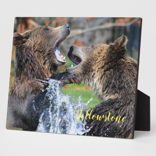 Plaque photo-Yellowstone Bears Plaque (Côté)