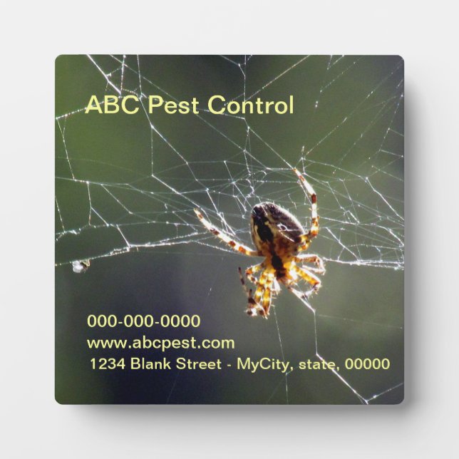 Plaque - Spider Fotoplatte (Vorderseite)