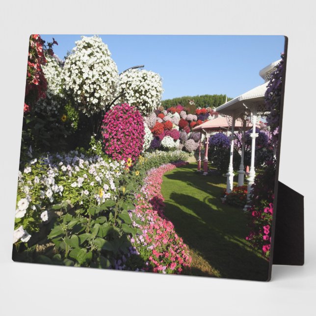 Plaque with petunias fotoplatte (Seite)
