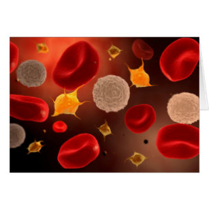 Plaquettes avec les globules rouges 2