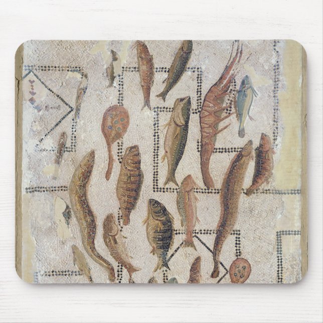 Plasterung, welche die Fische entgehen von einem Mousepad (Vorne)