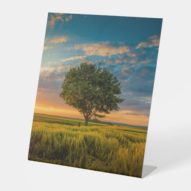 Plastikbodenzeichen 10"X12" Sockelschild (Vorderseite)