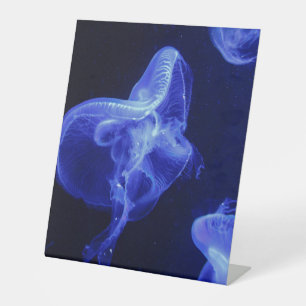Plastikbodenzeichen 10"X12" Sockelschild