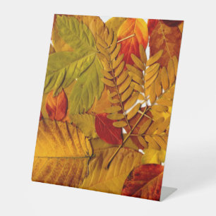 Plastikbodenzeichen 10"X12" Sockelschild