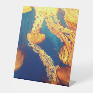 Plastikbodenzeichen 10"X12" Sockelschild