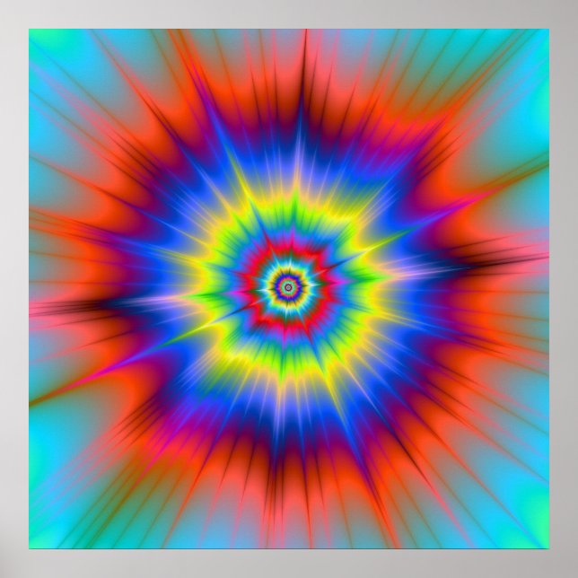 Plat ! Affiche (Devant)