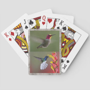 Plate-forme de colibris des cartes de jeu