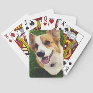 Plate-forme de corgi des cartes de jeu