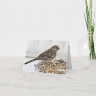Plate-forme Sparrow et Silver - Carte blanche