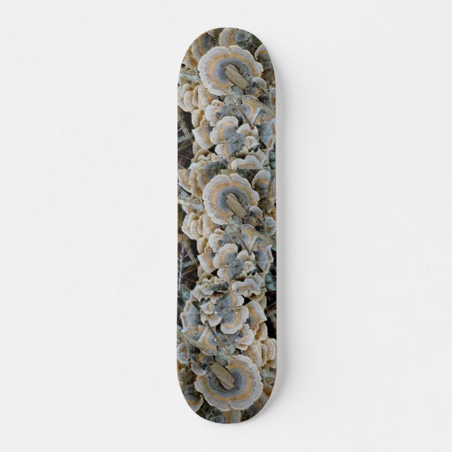 Plateau bleu Fungus Skateboard (Devant)