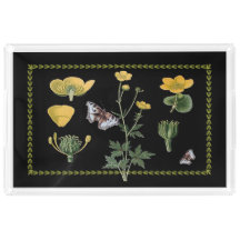 Ranunculus sur le grand plateau acrylique noir