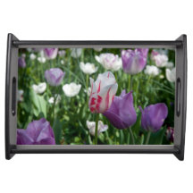 Plateau pourpre de portion de tulipe