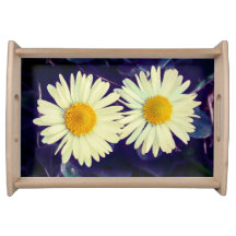 Rêves des marguerites