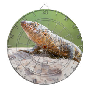 Plated Lizard Dartscheibe