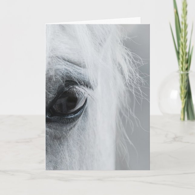 Platinum Equine Grußkarte Karte (Vorderseite)