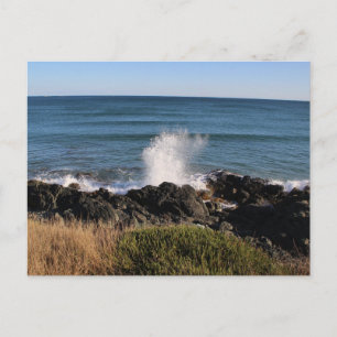 Platsch! Postkarte