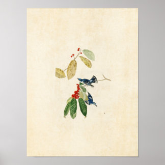 Platte 48 | Azure Warbler | Vögel in Amerika Poster