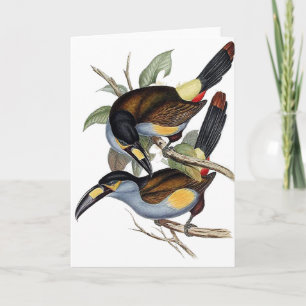 Platte-berechneter Berg Toucan Karte