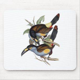 Platte-berechneter Berg Toucan Mousepad