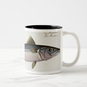 Platte LIV der Makrele (ScomberScomber) von Zweifarbige Tasse