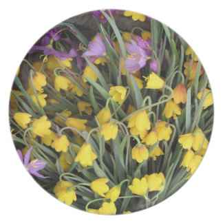 PLATTE MELAMINTELLER