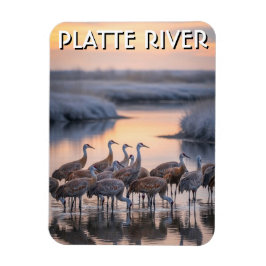 Platte River Sandhill-Kraniche Nebraska Reise Magnet