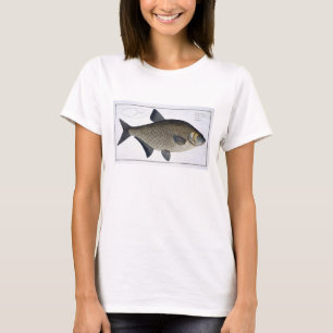 Platte XIII des Brachsens (CyprinusBrama) von T-Shirt