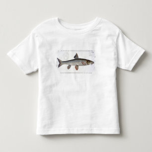 Platte XVIII des Barbel (Cyprinus Barbus) von Kleinkind T-shirt