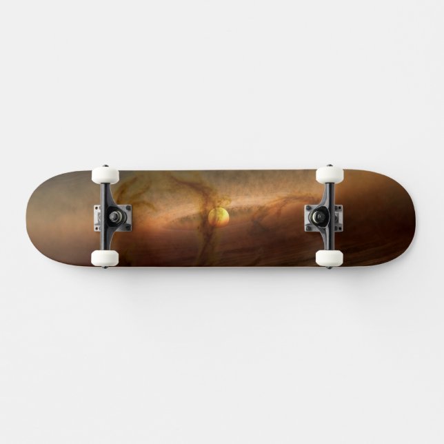 Platten aus planetbildenden Materialien, Rundstein Skateboard (Horizontal)