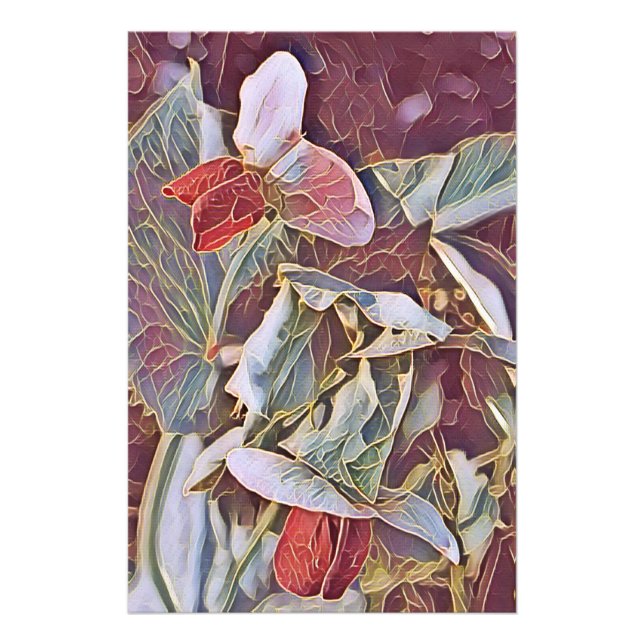 PLATTERBSEN FOTODRUCK (Vorne)