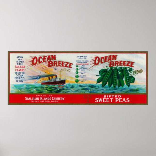 Platterbsen für Meeresrauschen Poster (Vorne)