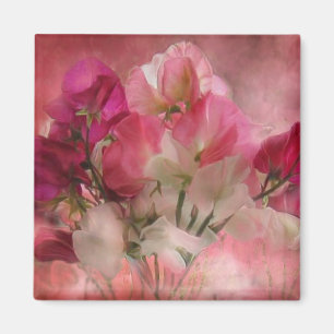 Platterbsen-Kunst-Magnet Magnet