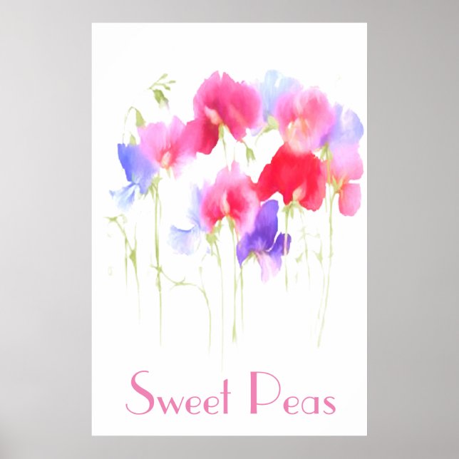 PLATTERBSEN WATERCOLOR STIL POSTER (Vorne)