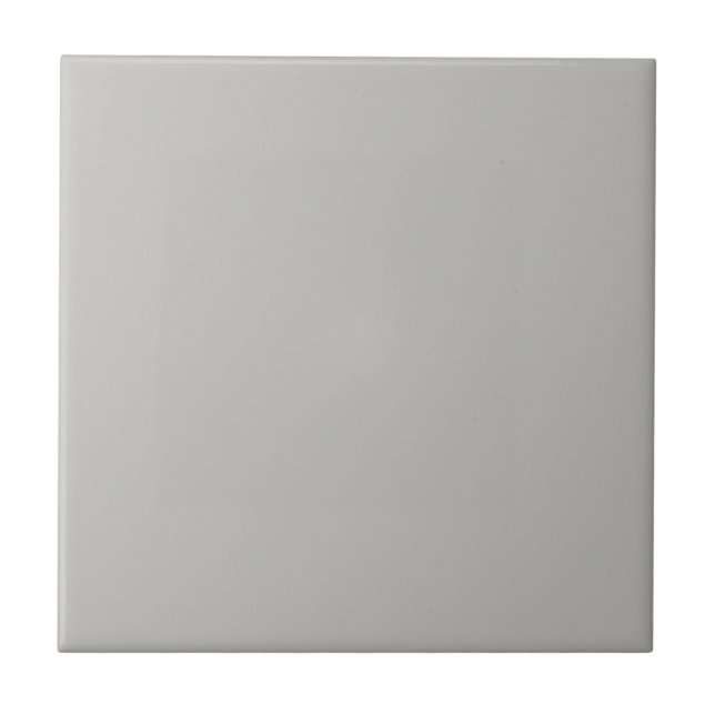 Plättete Silver Square Küche und Badezimmer Fliese (Vorderseite)