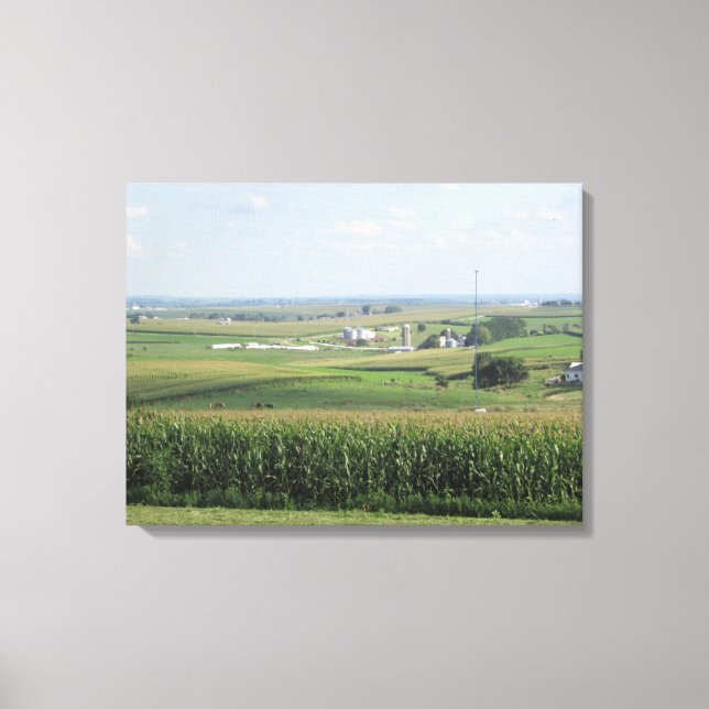 Platteville, Wisconsin Amish Farm Landschaftlich V Leinwanddruck (Vorderseite)
