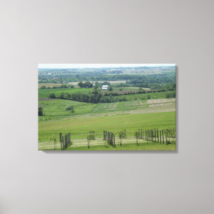 Platteville, Wisconsin Grapevine Weinberg Poster Leinwanddruck