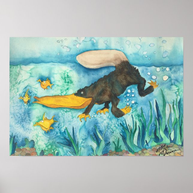 "Platty" die Platypus von Mike Quinn Poster (Vorne)