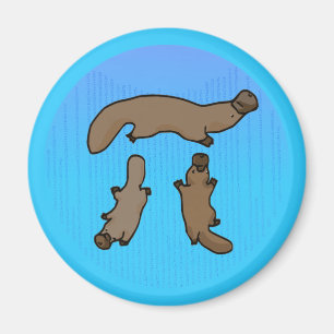 "Platypi" drei Platypuses griechische PUs Magnet