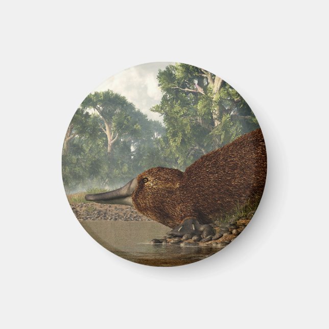 Platypus am Ufer Magnet (Vorne)