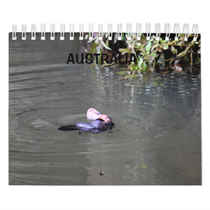 PLATYPUS AUSTRALIA KALENDER
