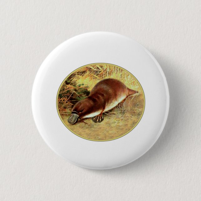 Platypus Button (Vorderseite)