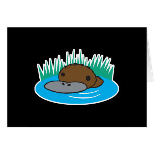 platypus de regard mignon