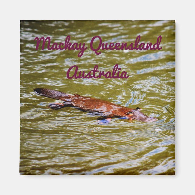 PLATYPUS EUNGELLA NATIONALPARK AUSTRALIEN MAGNET (Vorne)