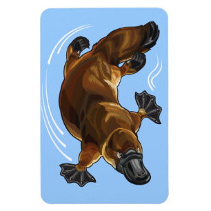 Platypus Magnet