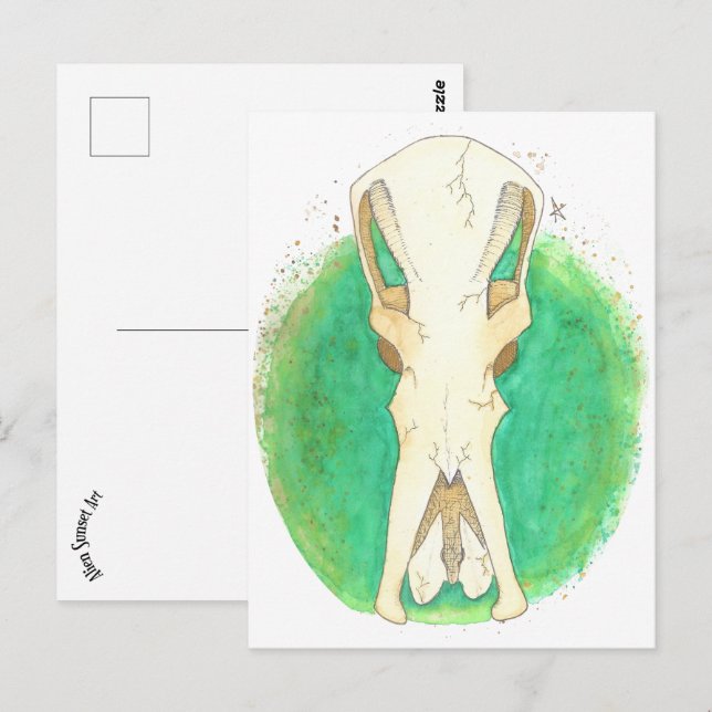 Platypus Skull Postkarte (Vorne/Hinten)